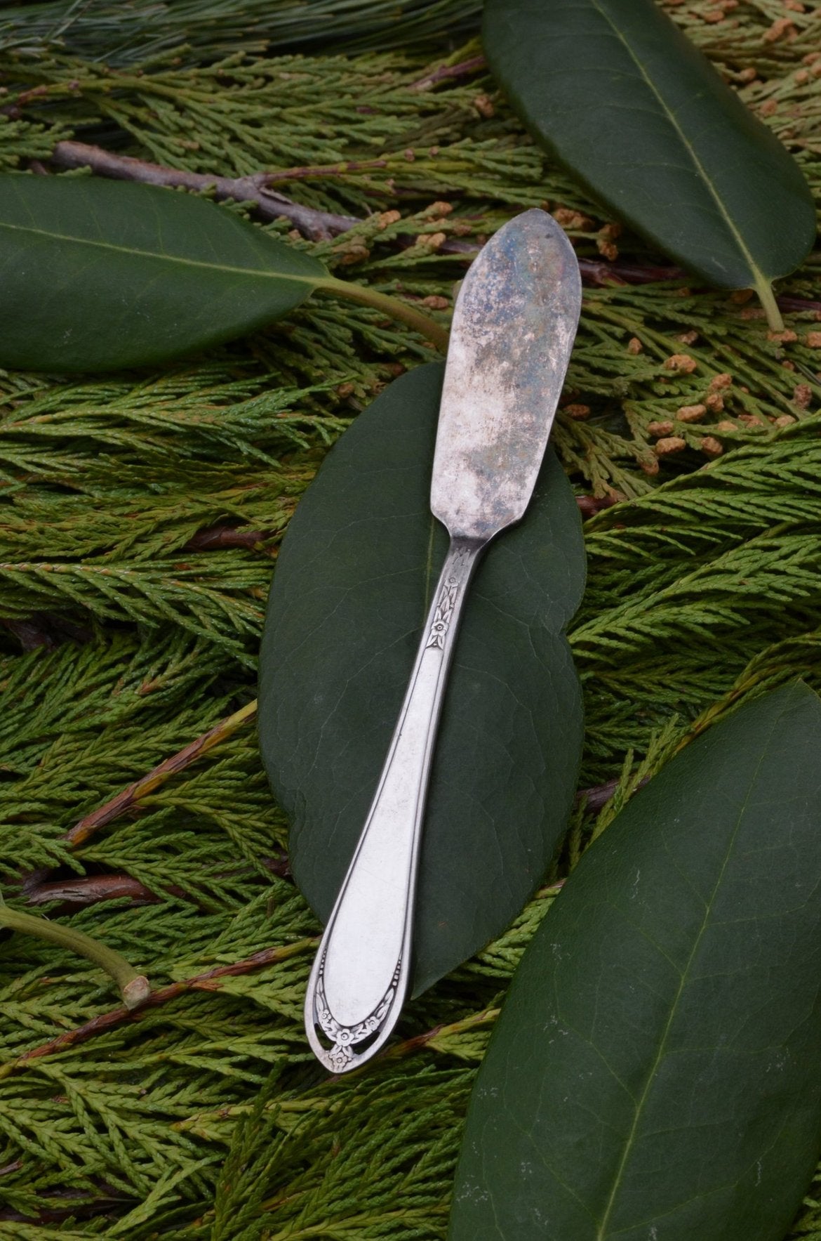 Knife To See You