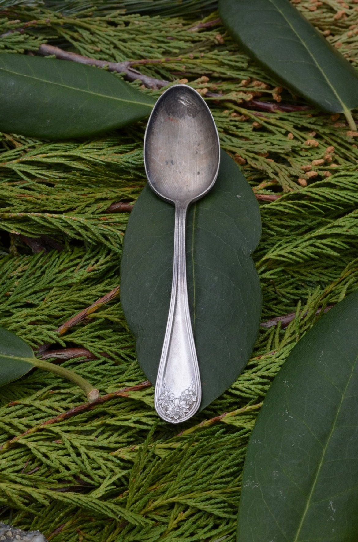 Spooning Leads to Forking