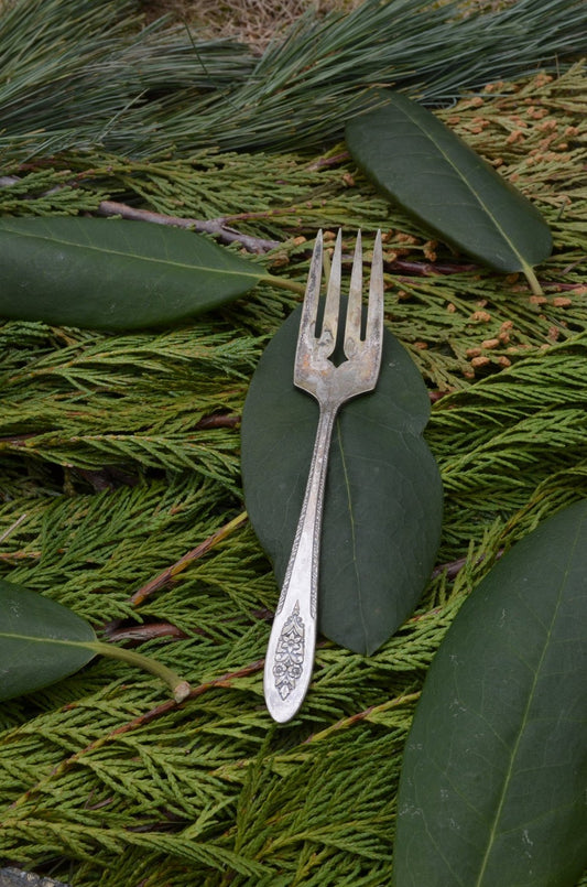 The Fork To My Spoon